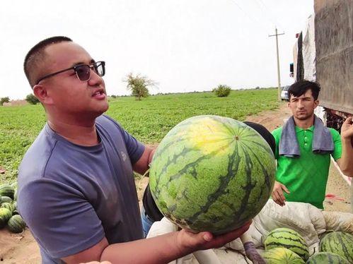 假装吃瓜爆料图片,一场视觉盛宴背后的故事