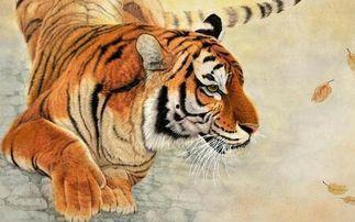 四虎吃瓜爆料,揭秘娱乐圈幕后真相