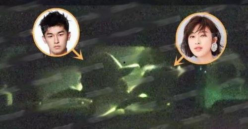 杨旭文吃瓜爆料,娱乐圈幕后真相大揭秘