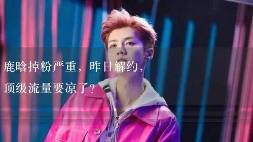 娱乐吃瓜解说全集,吃瓜解说全集深度解析